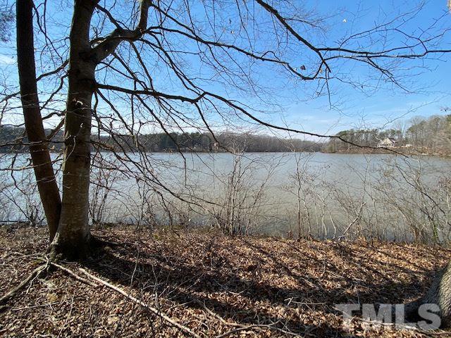 4-b & 5 Fishermans Point Roxboro, NC 27574 - Photo 2 of 10 a view of a backyard