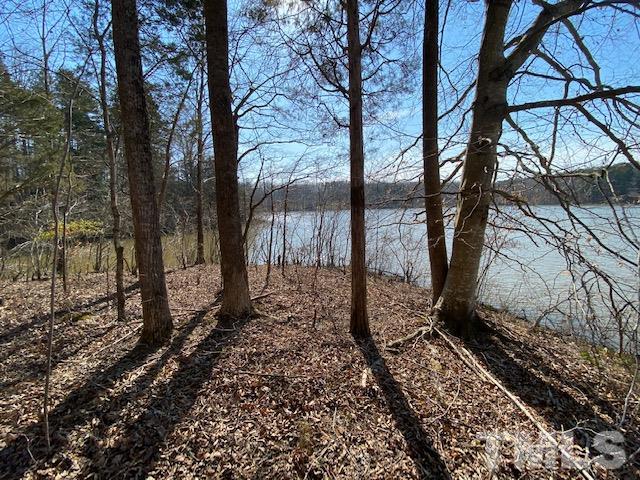 4-b & 5 Fishermans Point Roxboro, NC 27574 - Photo 3 of 10 a view of a yard with trees