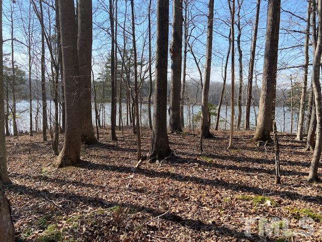 4-b & 5 Fishermans Point Roxboro, NC 27574 - Photo 4 of 10 a view of a backyard with trees
