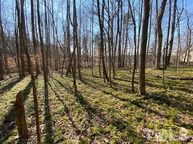 4-b & 5 Fishermans Point Roxboro, NC 27574 - Photo 6 of 10 a view of outdoor space with garden