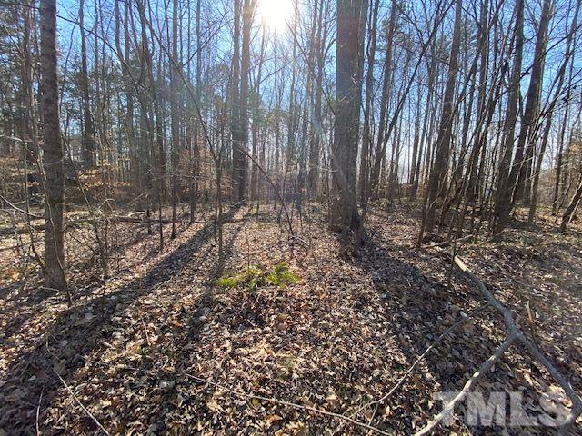 4-b & 5 Fishermans Point Roxboro, NC 27574 - Photo 9 of 10 a view of forest