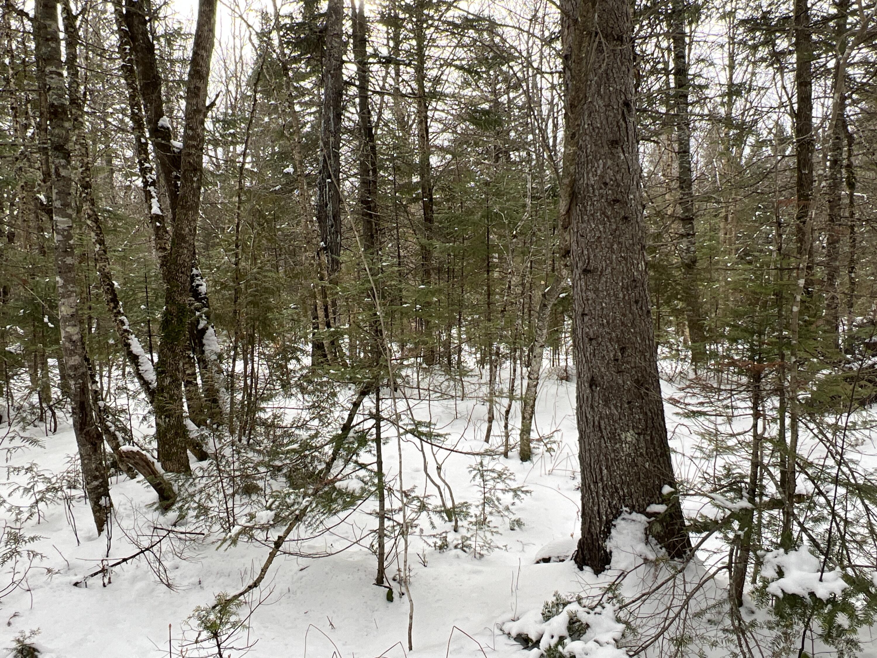 Lot 2-18 Shin Pond Rd Mount Mount Chase, ME 04765 - Photo 40 of 59