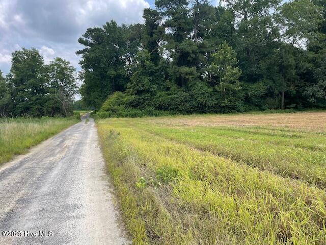 0 Fire Tower Road Rose Hill, NC 28458 - Photo 10 of 13 Cottle Lane 2