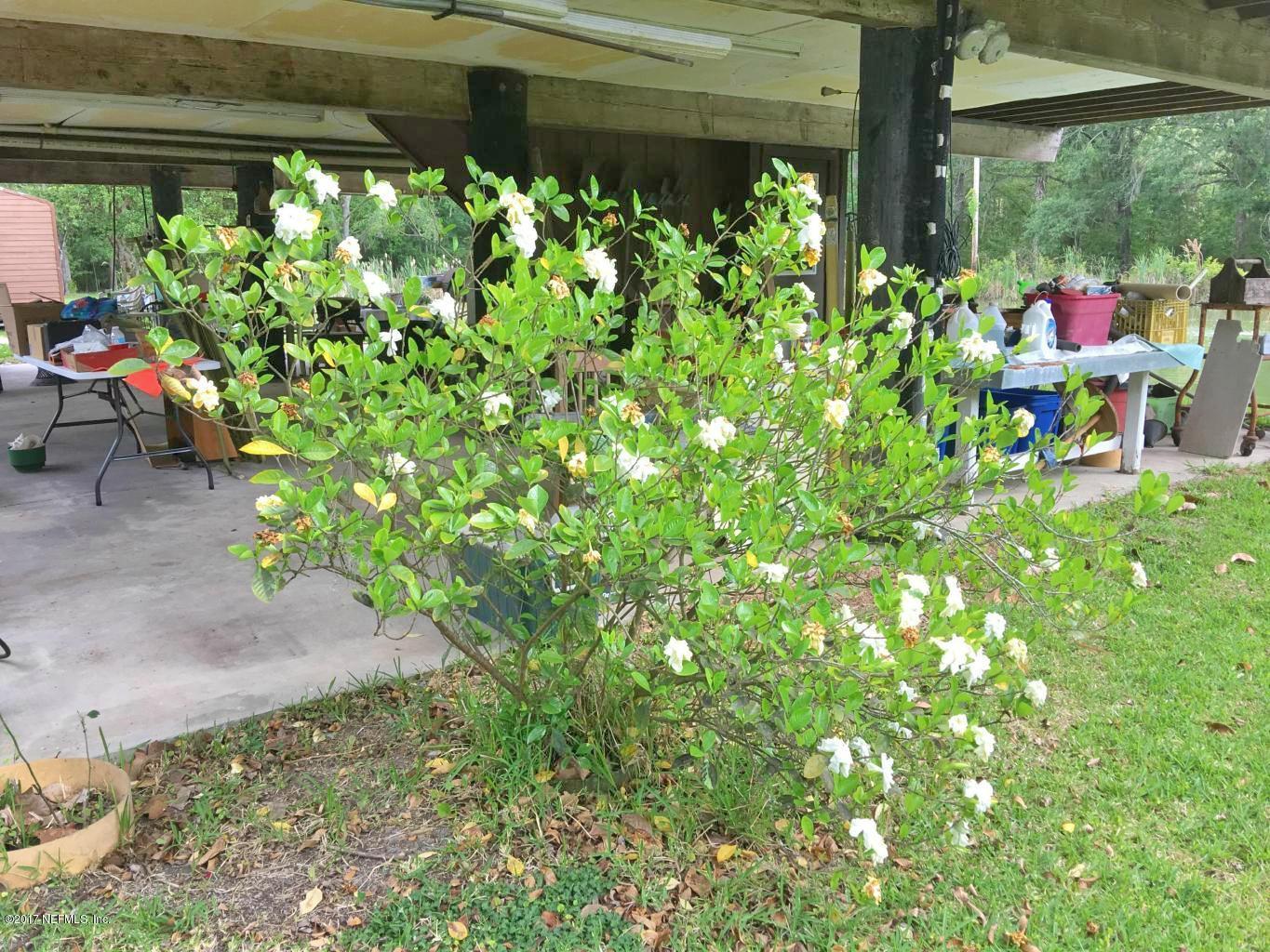36730 Dyal Road Callahan, FL 32011 - Photo 26 of 37 Blooming Gardenia
