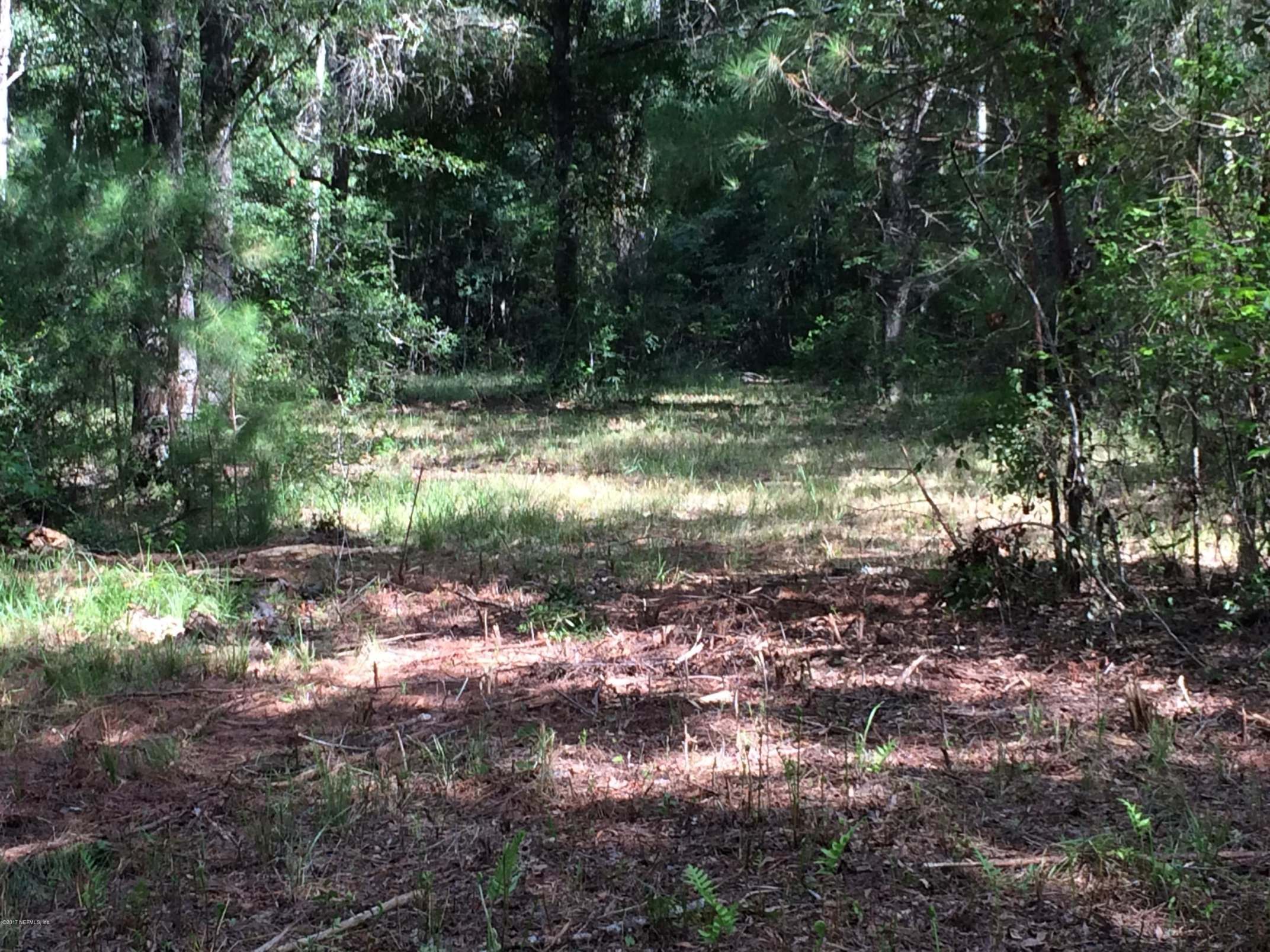 36730 Dyal Road Callahan, FL 32011 - Photo 35 of 37 Back Entry through the woods