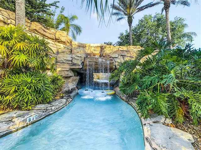 a view of a yard with plants