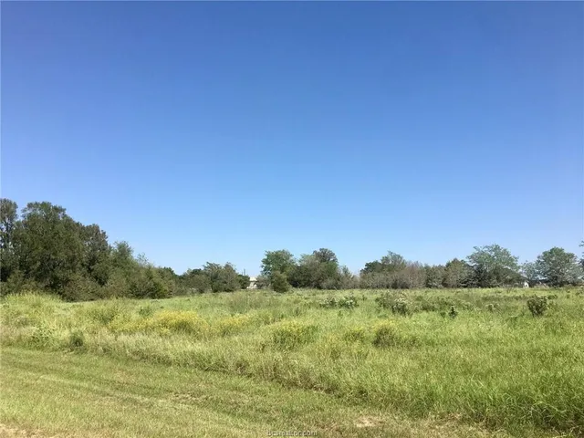 a view of a field with trees in the background