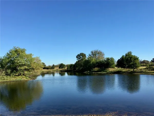 a lake view with boat and palm trees