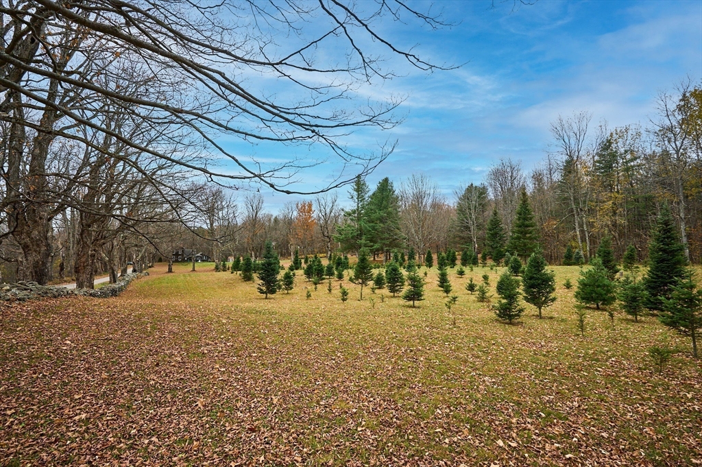 10 Maple Street Plainfield, MA 01070 - Photo 4 of 42 a view of a yard with a tree