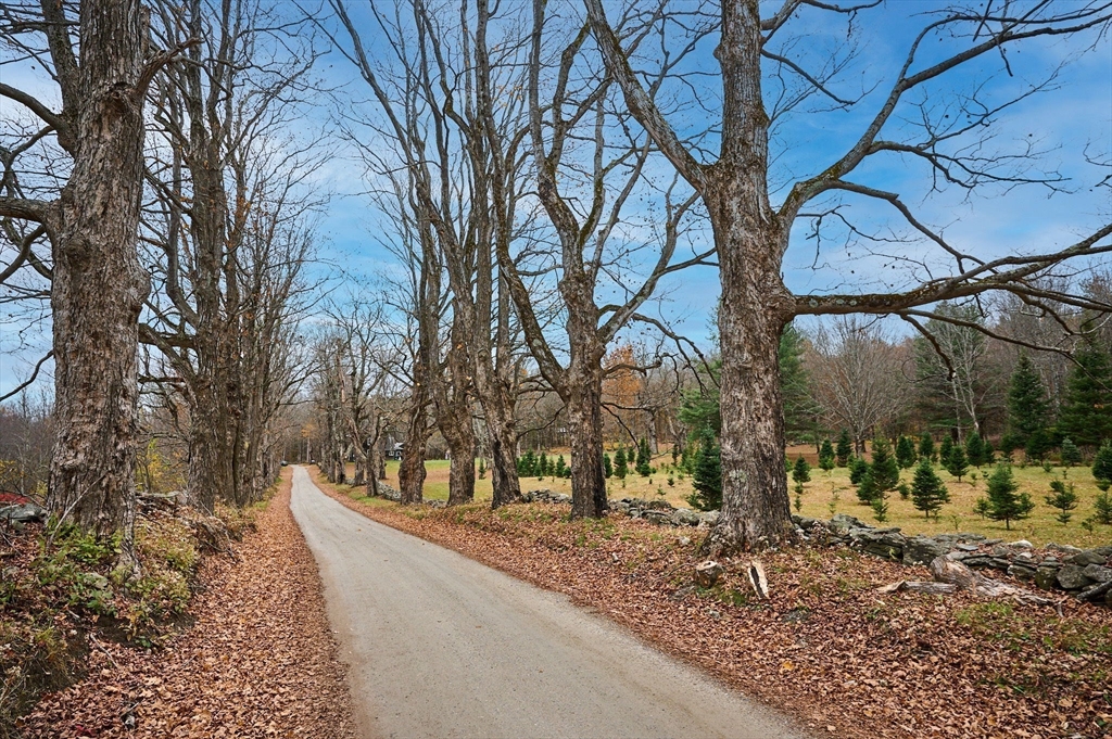 10 Maple Street Plainfield, MA 01070 - Photo 5 of 42 a view of a yard with a tree