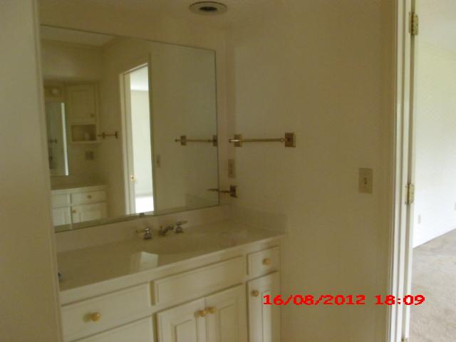 3221 James Stone Road Cedar Hill, TN 37032 - Photo 8 of 20 Master bath