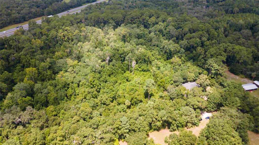 0 Southwest 1st Street Micanopy, FL 32667 - Photo 11 of 15 a view of a large yard with lots of bushes