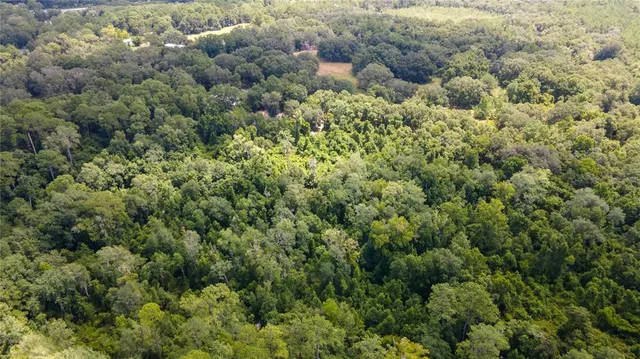 with view of a forest with a houses