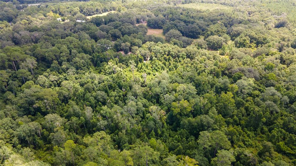 0 Southwest 1st Street Micanopy, FL 32667 - Photo 12 of 15 with view of a forest with a houses