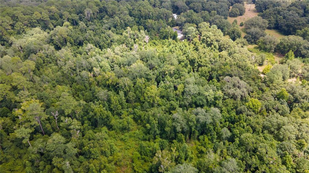 0 Southwest 1st Street Micanopy, FL 32667 - Photo 13 of 15