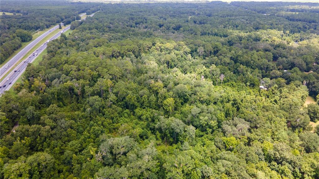 0 Southwest 1st Street Micanopy, FL 32667 - Photo 14 of 15 a view of a forest with a street