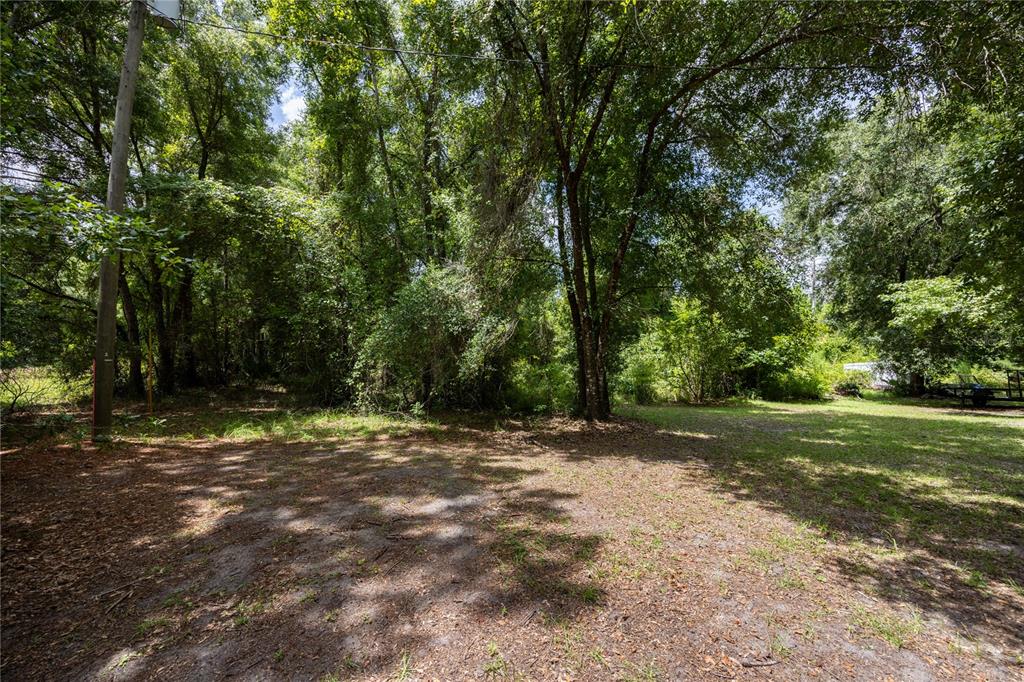 0 Southwest 1st Street Micanopy, FL 32667 - Photo 2 of 15 a view of outdoor space with trees