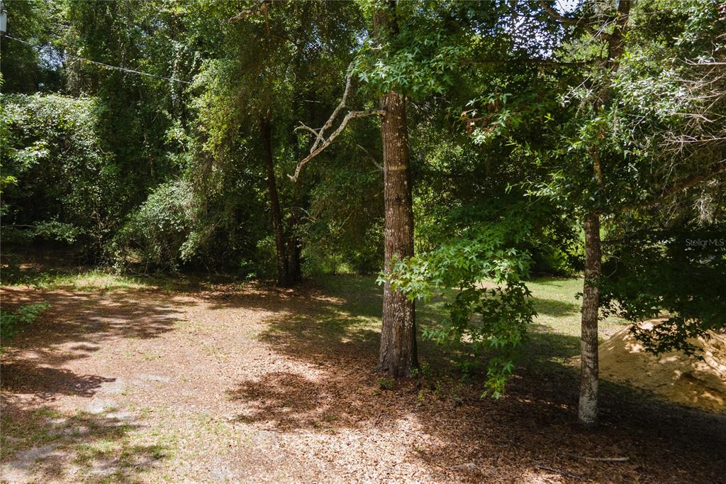 0 Southwest 1st Street Micanopy, FL 32667 - Photo 7 of 15 a view of a forest with trees