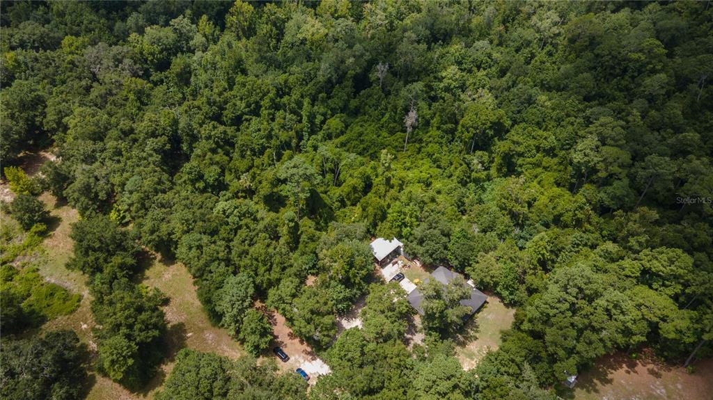 0 Southwest 1st Street Micanopy, FL 32667 - Photo 8 of 15 a view of a forest with a tree