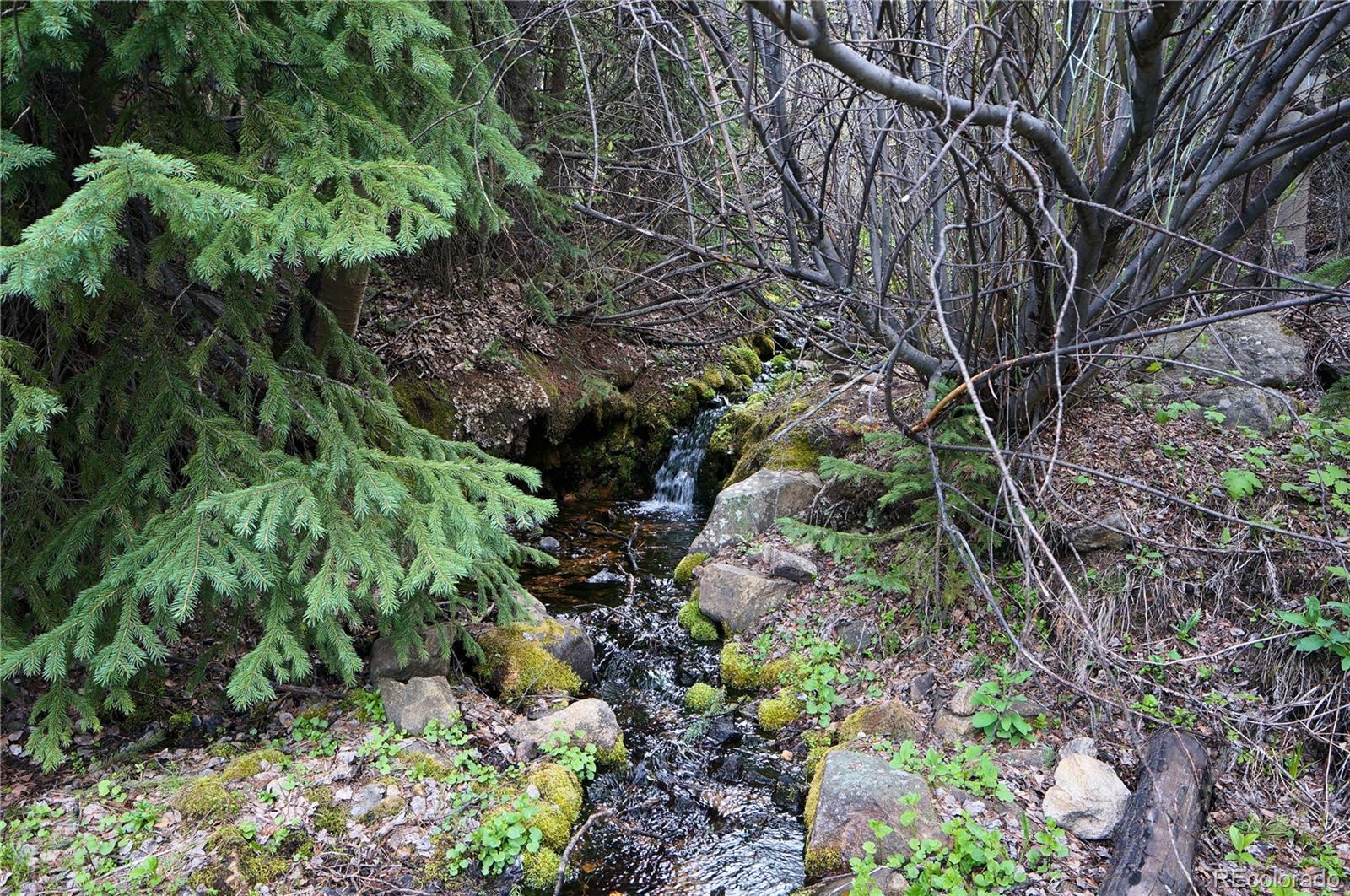 0 Trail Creek Road Idaho Springs, CO 80452 - Photo 1 of 16