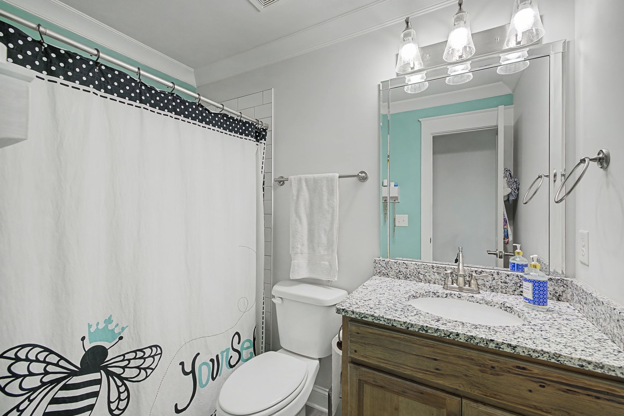 2965 Stewart Campbell Pointe Spring Hill, TN 37174 - Photo 31 of 48 a bathroom with a granite countertop sink a toilet and a mirror