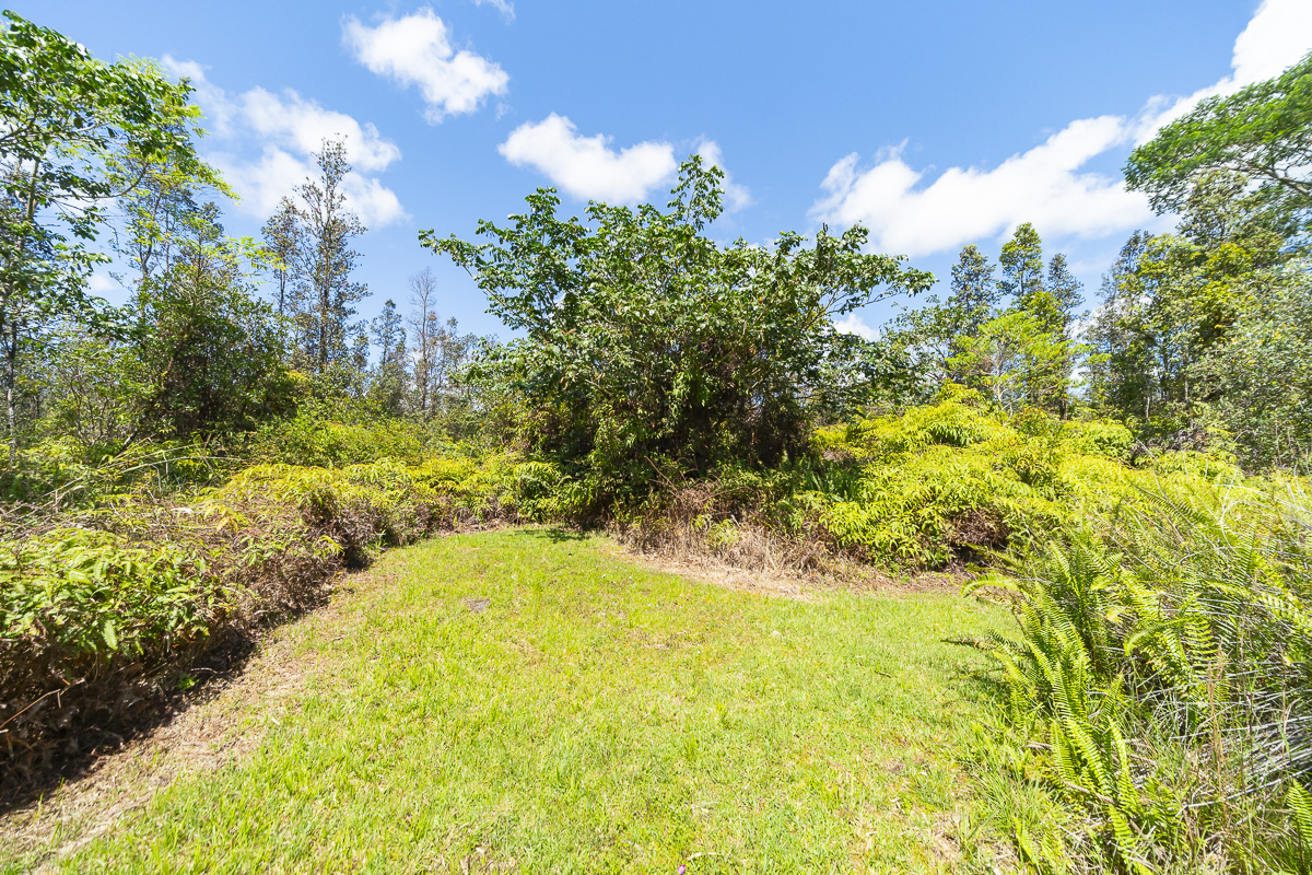 16-1366 Ao Rd Mountain View Mountain View, HI 96771 - Photo 28 of 30