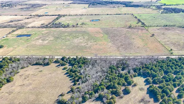 a view of a pathway of a yard