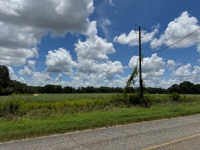 25 & Barrington Road Midland City, AL 36350 - Photo 14 of 21
