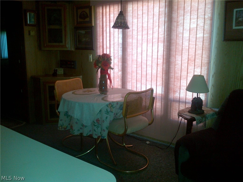 6688 Leon Road Andover, OH 44003 - Photo 10 of 20 Gallery Image 10