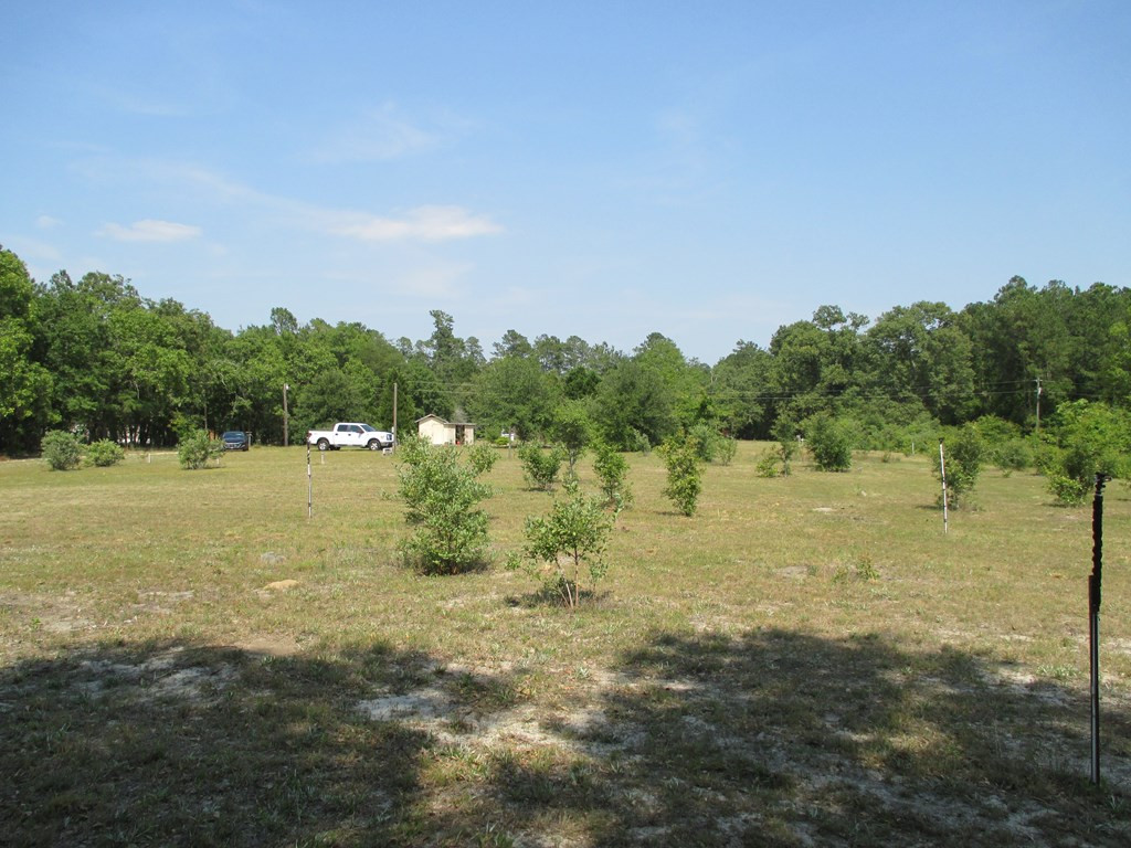 4520 Pinewood Road Sumter, SC 29154 - Photo 13 of 18 Gallery Image 13