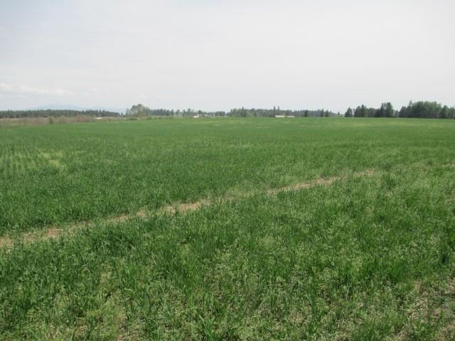 4 Williams Valley Road Clayton, WA 99110 - Photo 2 of 6