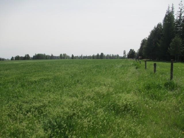 4 Williams Valley Road Clayton, WA 99110 - Photo 3 of 6