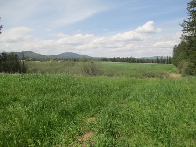 4 Williams Valley Road Clayton, WA 99110 - Photo 4 of 6