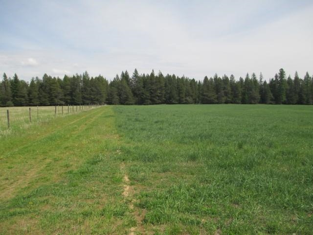 4 Williams Valley Road Clayton, WA 99110 - Photo 5 of 6