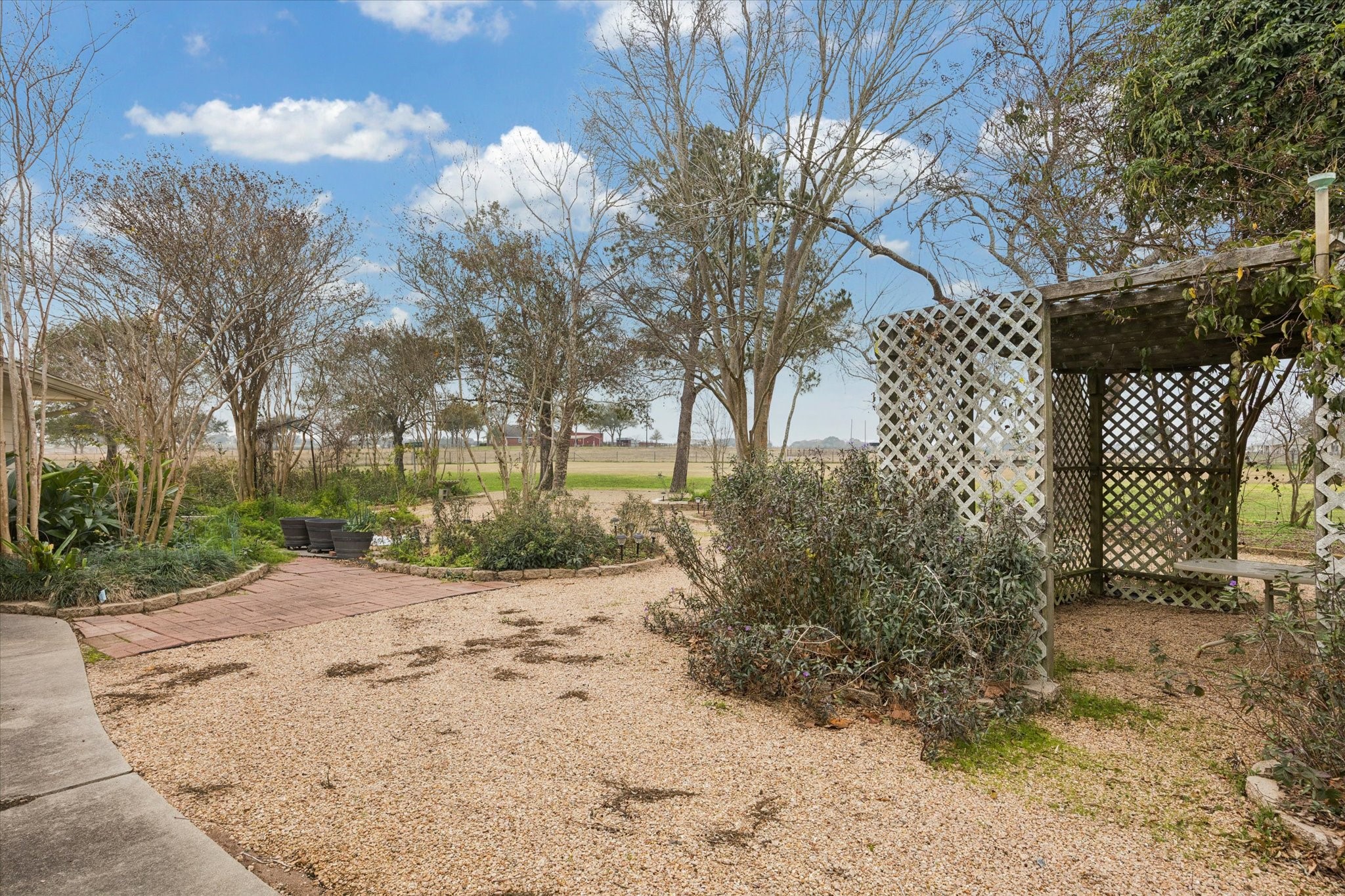 479 South Farm To Market 331 Road Sealy, TX 77474 - Photo 19 of 25 a view of a yard with plants and trees