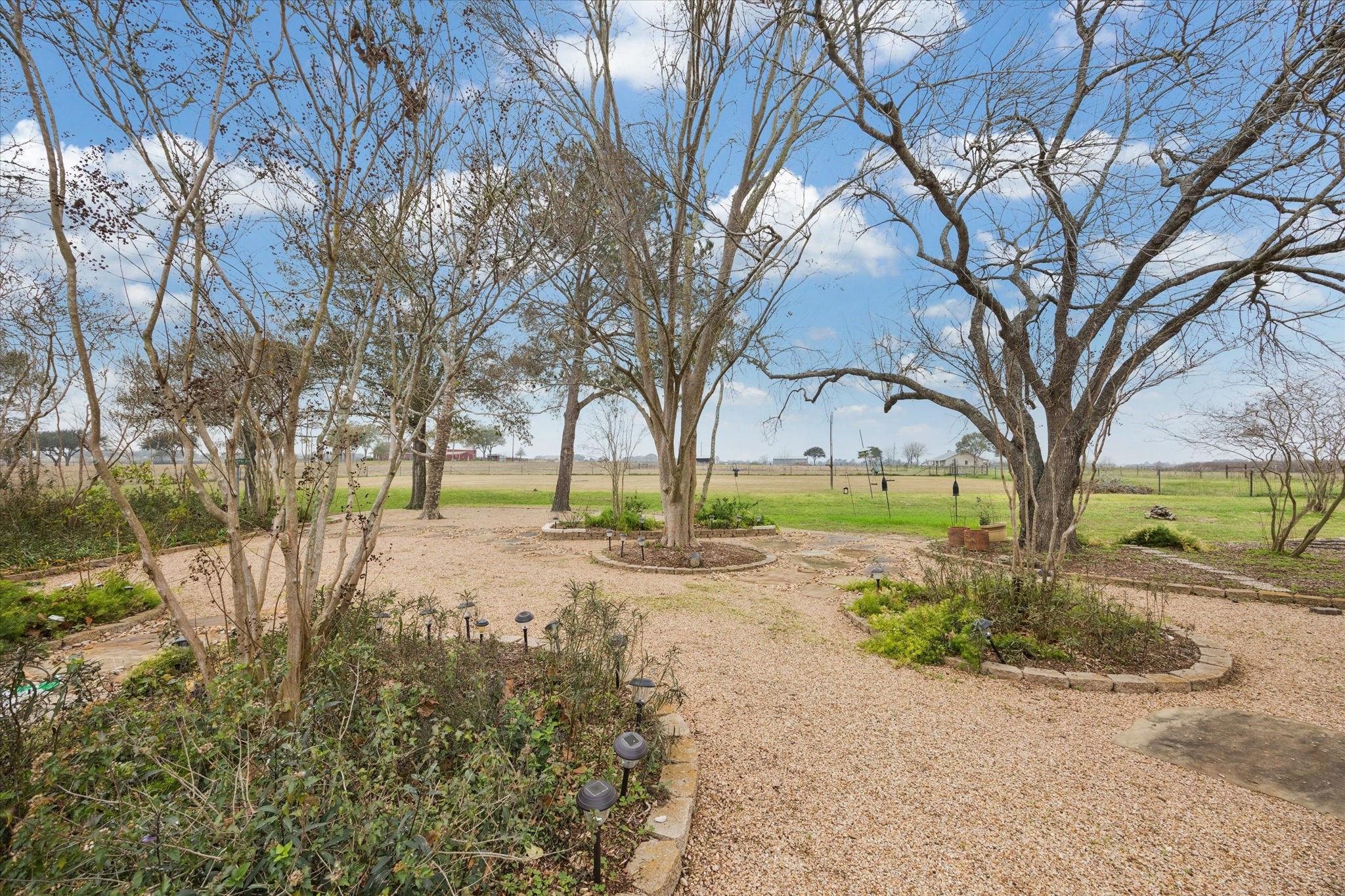 479 South Farm To Market 331 Road Sealy, TX 77474 - Photo 20 of 25 a view of a yard with plants and trees