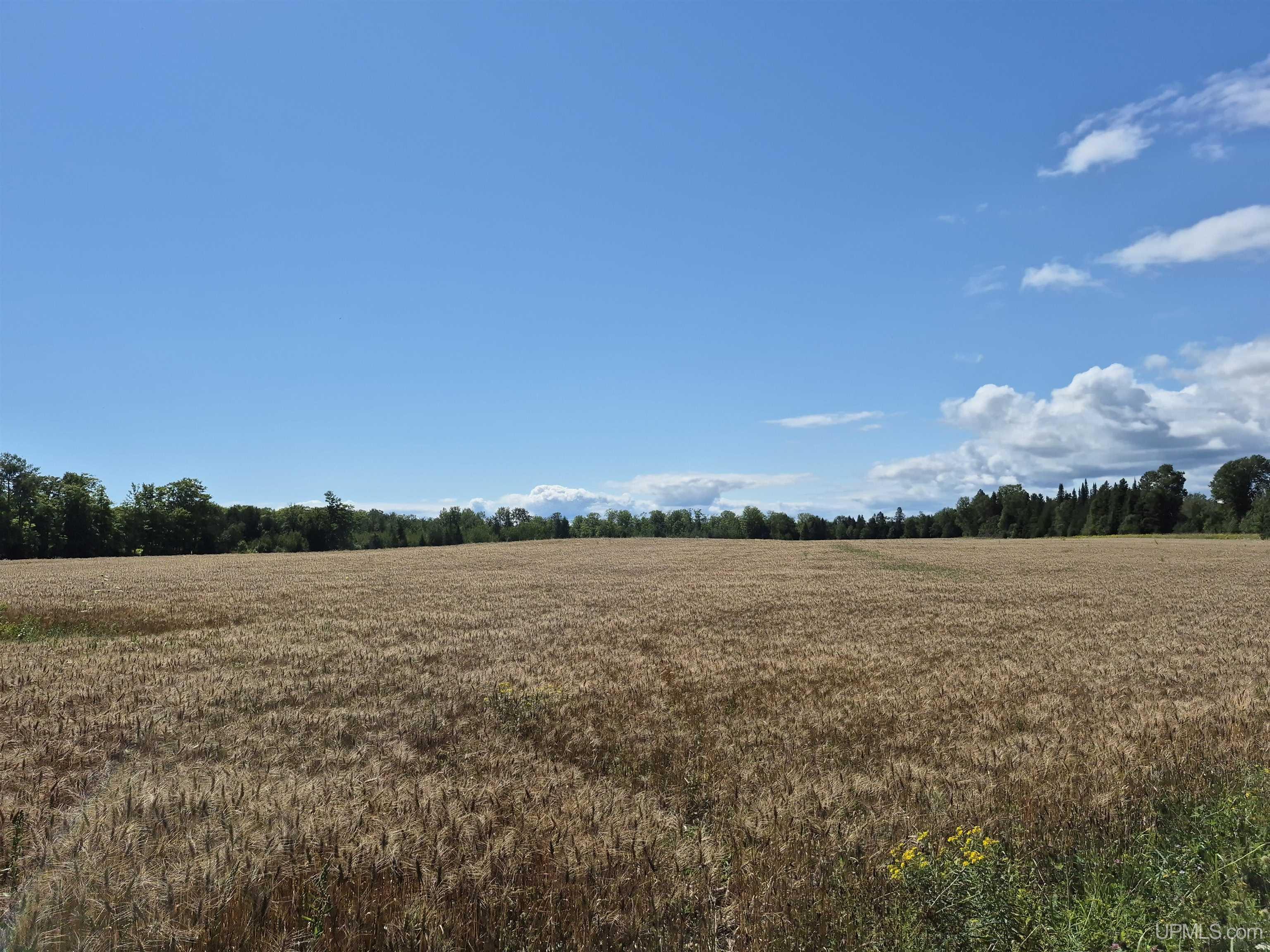160-acres Halverson Road Gulliver, MI 49840 - Photo 23 of 35
