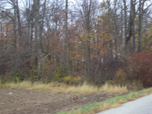 0 Davidson Road New Madison, OH 45346 - Photo 3 of 6