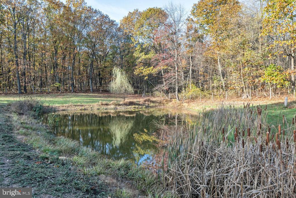 395 Sleepywoods Road Cross Junction, VA 22625 - Photo 23 of 29