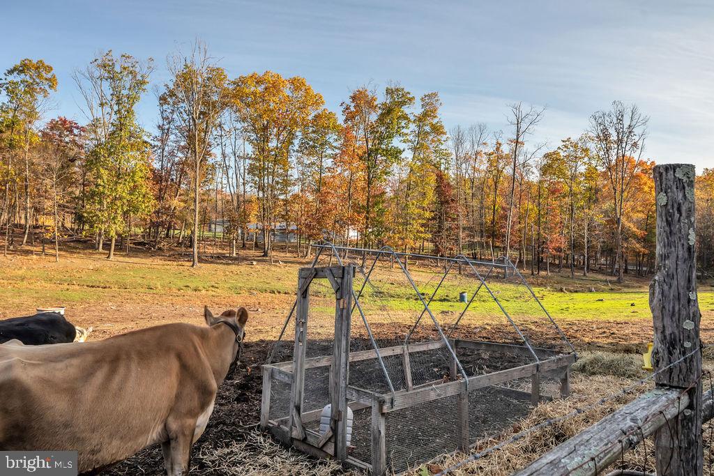 395 Sleepywoods Road Cross Junction, VA 22625 - Photo 24 of 29