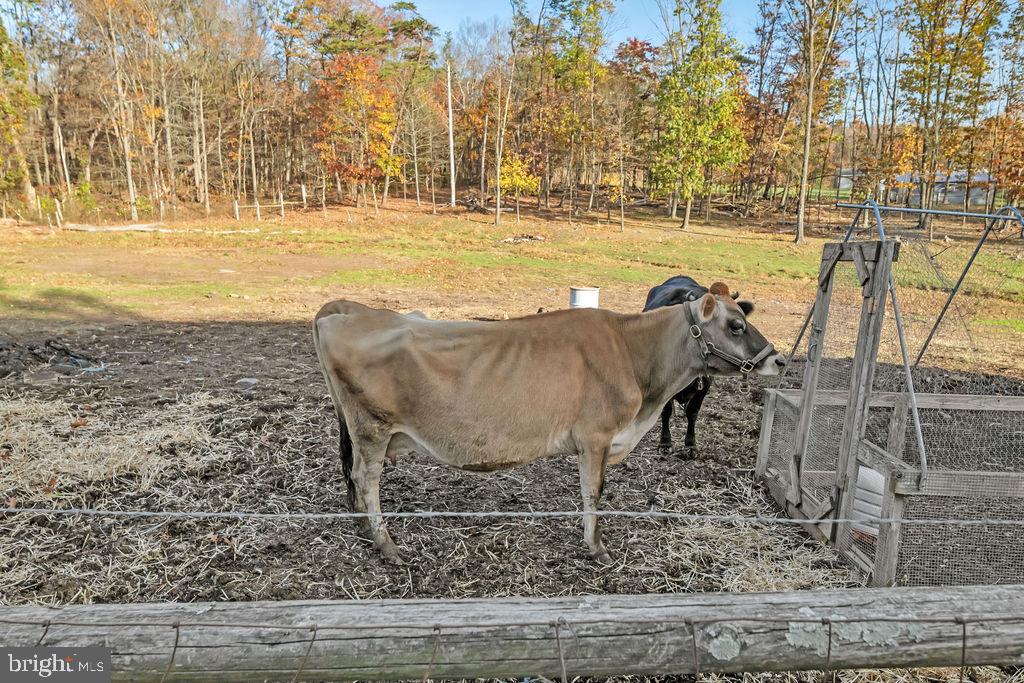 395 Sleepywoods Road Cross Junction, VA 22625 - Photo 25 of 29