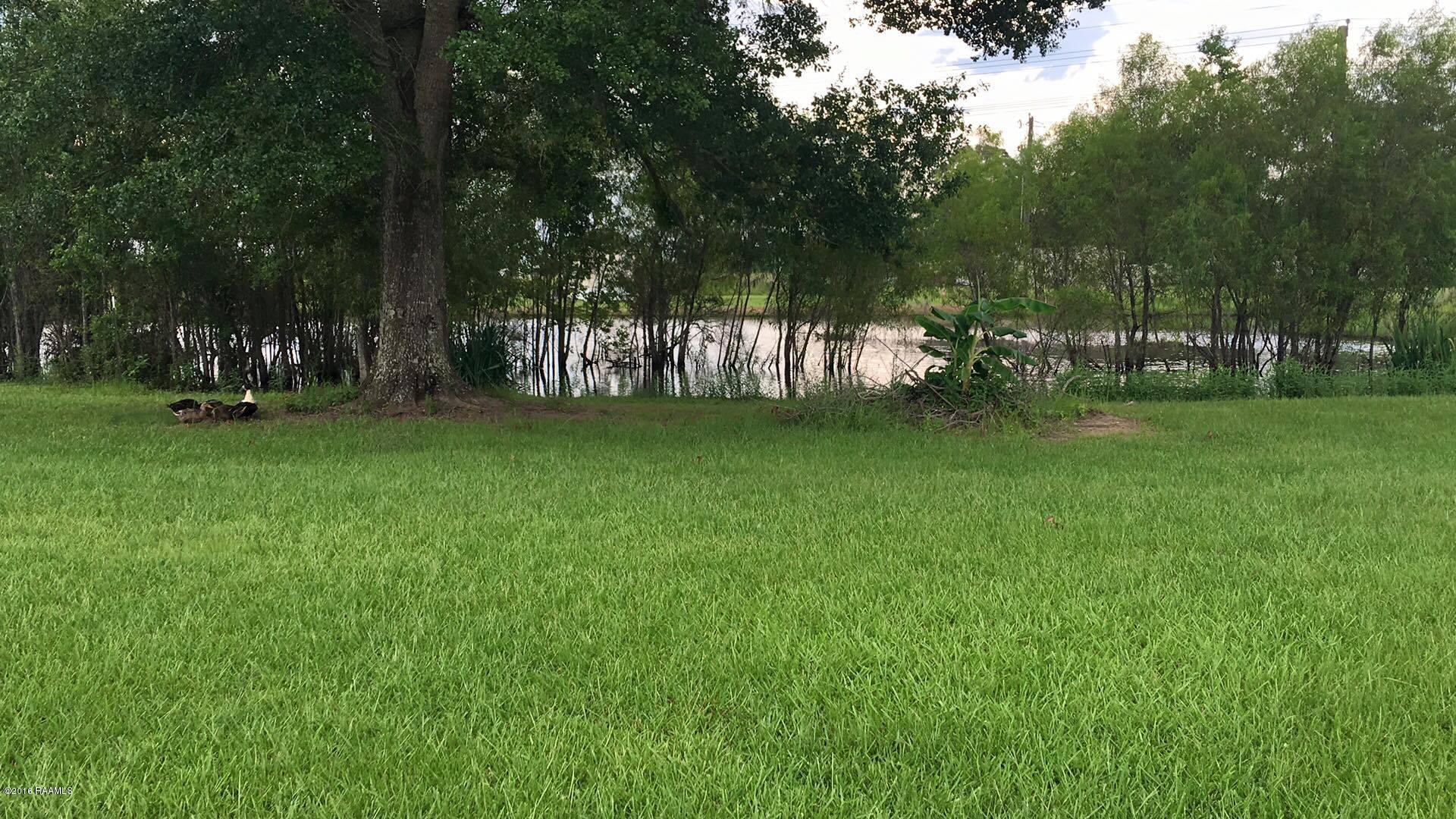 213 Blue Grass Road Washington, LA 70589 - Photo 38 of 38 Pond