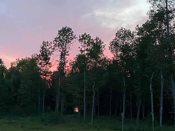$99,500 | 10943 Hwy 23 Orr Mn 55771, Orr, MN 55771