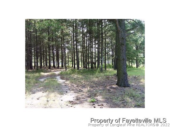 3213 Hillmon Grove Road Cameron, NC 28326 - Photo 1 of 4 Gallery Image 1