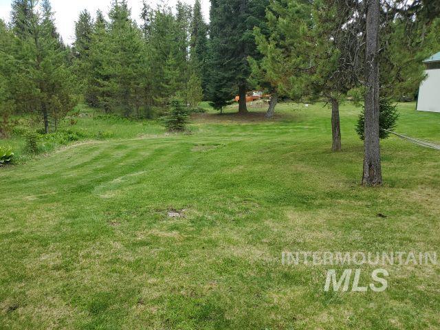 3460 American River Road Elk City, ID 83525 - Photo 28 of 50
