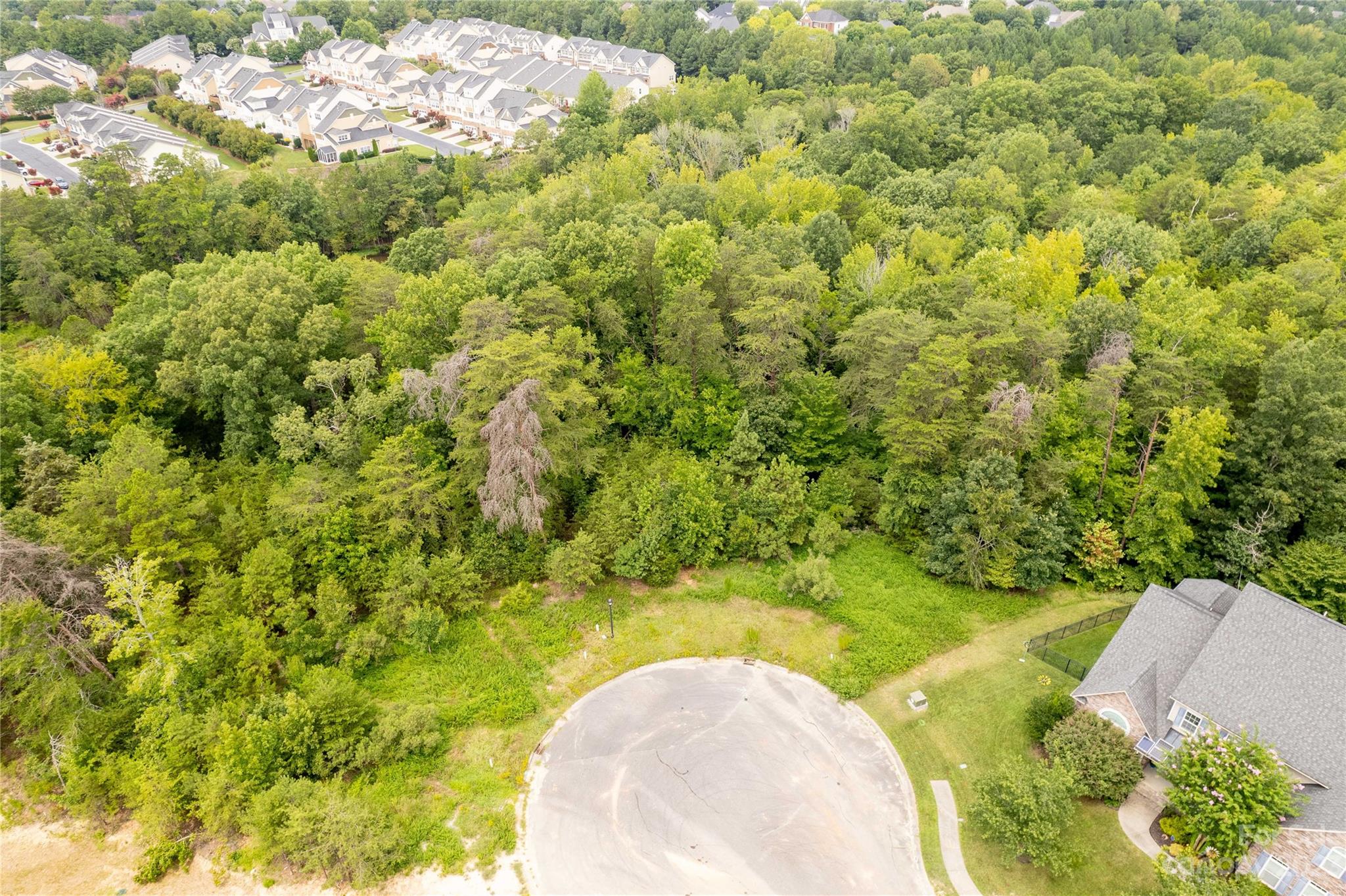 680 Reliance Court Tega Cay, SC 29708 - Photo 1 of 20 a view of a garden with a tree