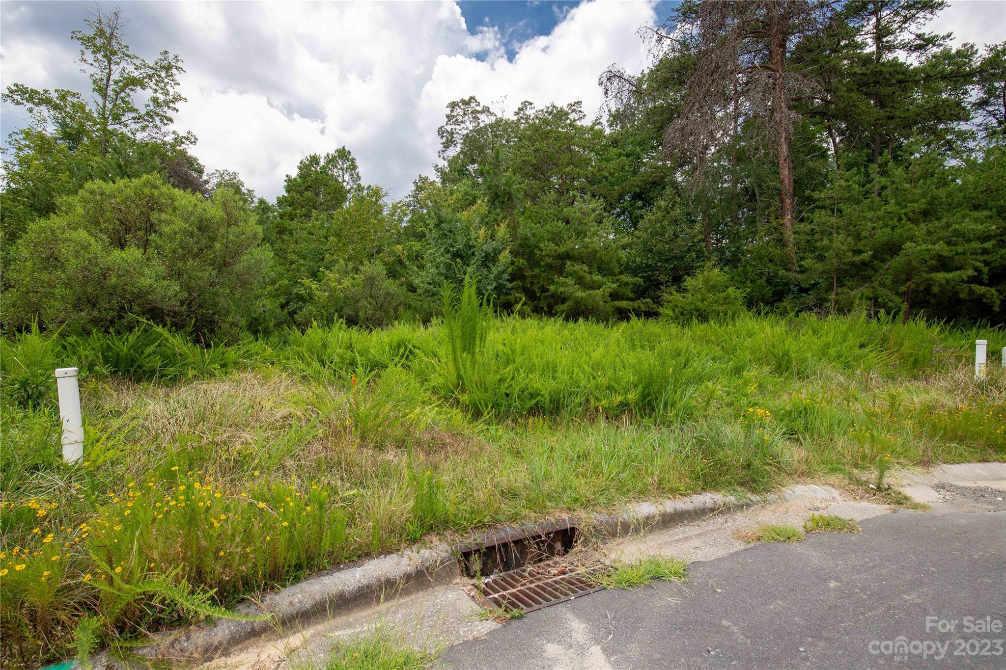 680 Reliance Court Tega Cay, SC 29708 - Photo 16 of 20 a view of a street with a yard and large trees