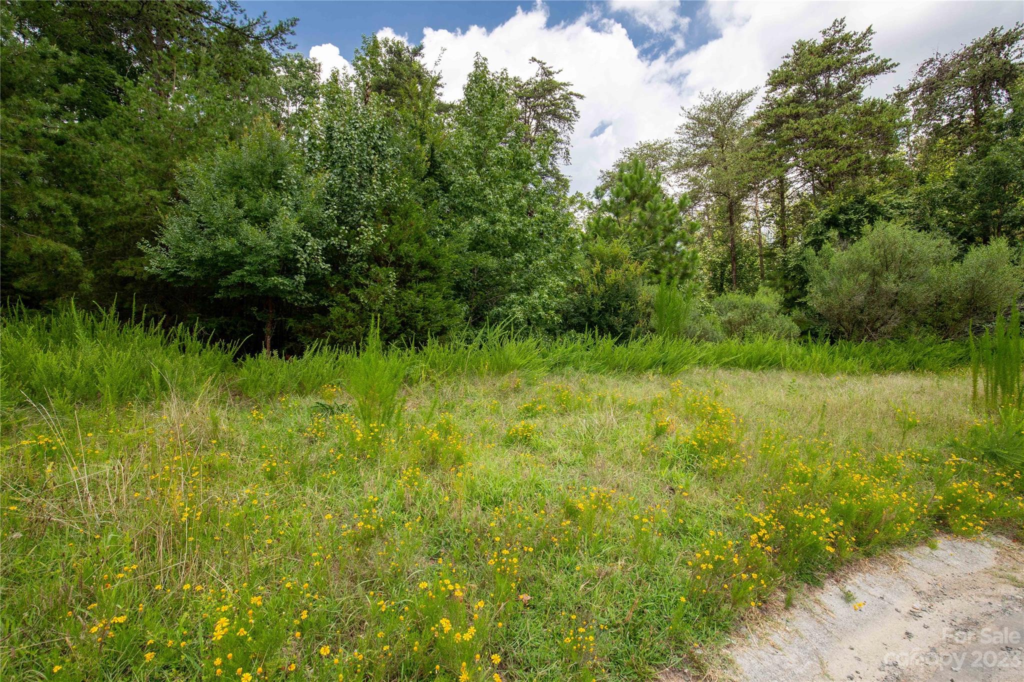 680 Reliance Court Tega Cay, SC 29708 - Photo 18 of 20 a view of a garden