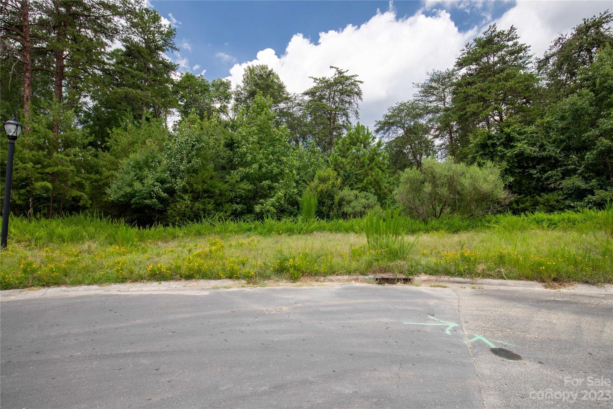 680 Reliance Court Tega Cay, SC 29708 - Photo 19 of 20 a view of outdoor space and yard