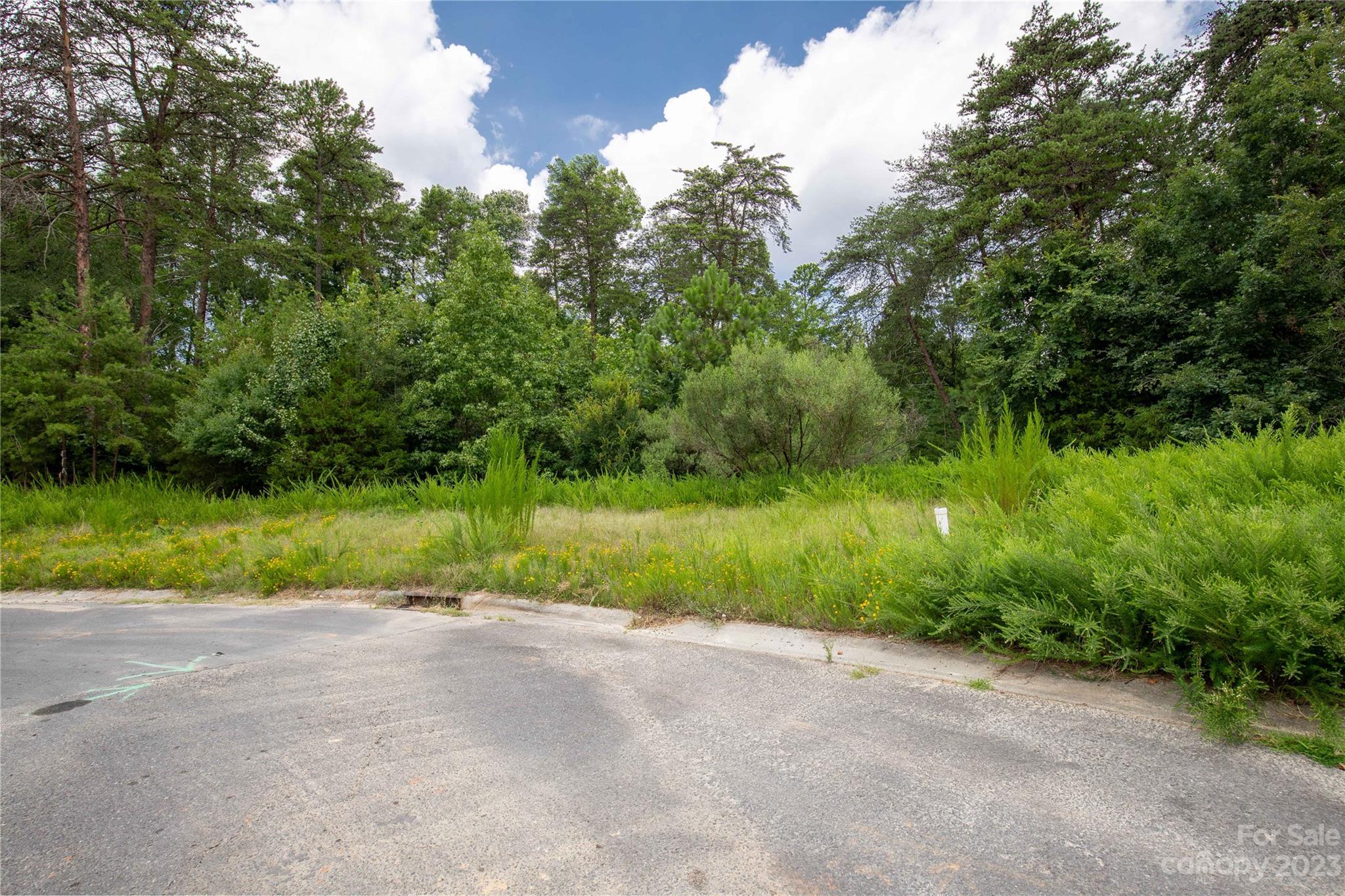 680 Reliance Court Tega Cay, SC 29708 - Photo 20 of 20 a view of outdoor space yard and green space